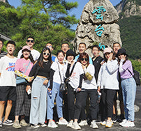Meet the Team