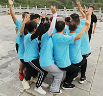 Meet the Team