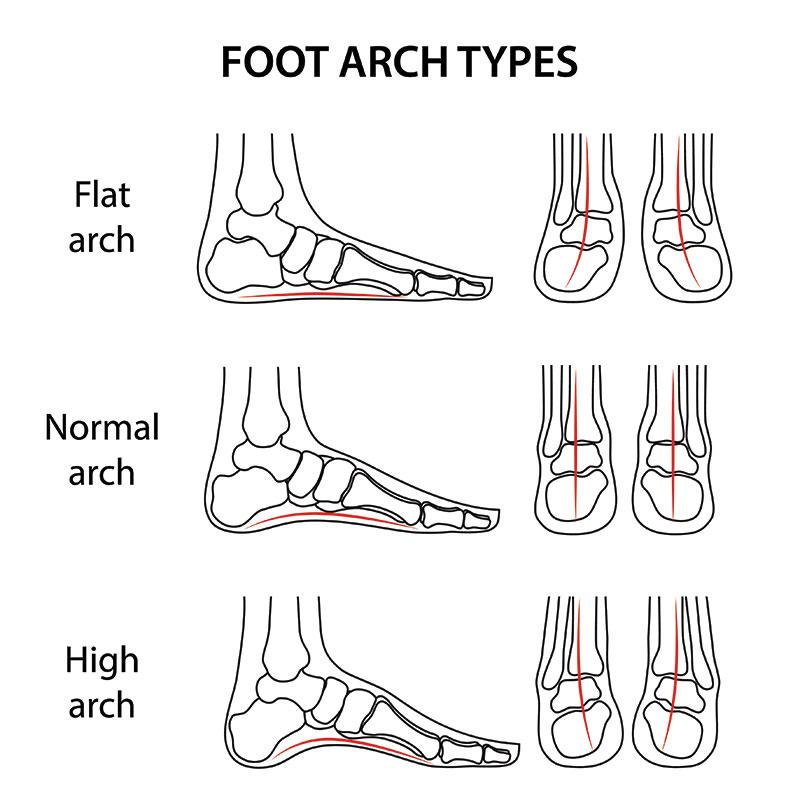 Fact Image